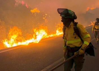 Bomberos luchando contra un incendio forestal en Los Gallardos