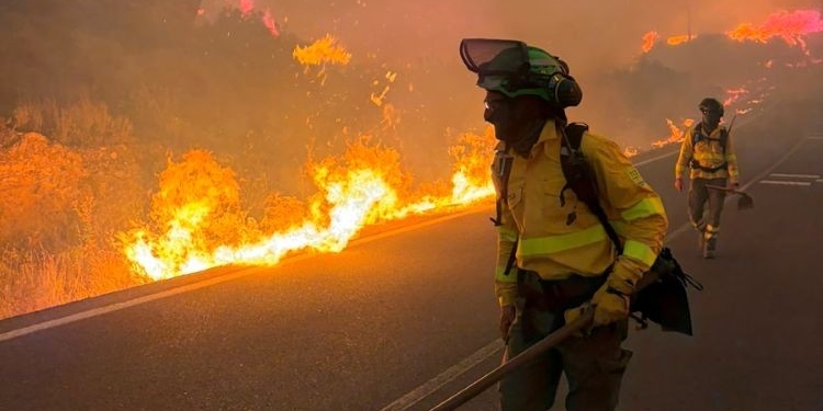 Bomberos luchando contra un incendio forestal en Los Gallardos