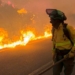 Bomberos luchando contra un incendio forestal en Los Gallardos