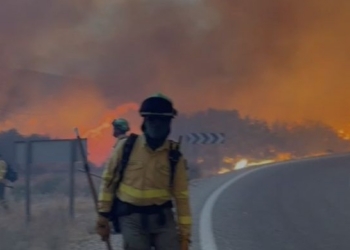 Bomberos trabajando en el incendio forestal de Los Gallardos, Almería.