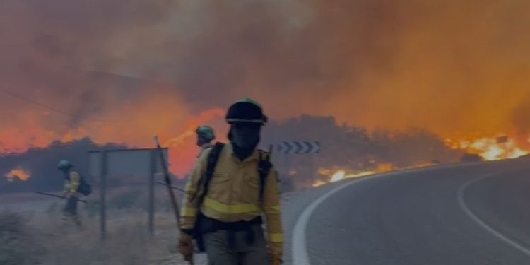 Bomberos trabajando en el incendio forestal de Los Gallardos, Almería.
