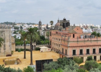 Vista panorámica de Jerez de la Frontera con palmeras y edificios históricos.