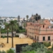 Vista panorámica de Jerez de la Frontera con palmeras y edificios históricos.