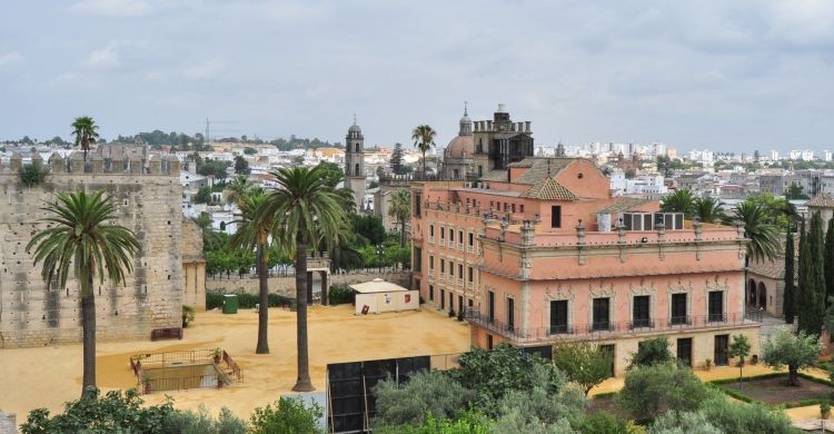Vista panorámica de Jerez de la Frontera con palmeras y edificios históricos.