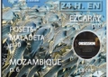 Portada de la revista Selección con peces y texto destacado.